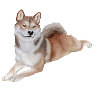 chienne