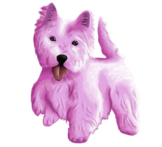 Westie Adulte - robe 697